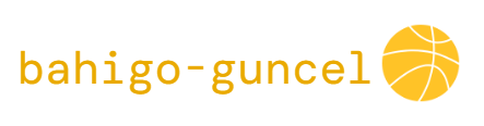 Bahigo Güncel